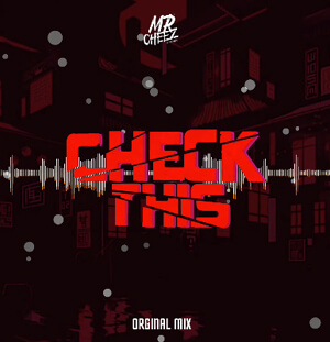 MR.CHEEZ - CHECK THIS (ORGINAL MIX)