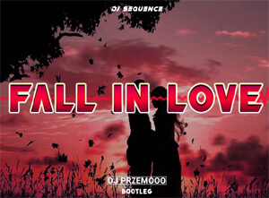 Dj Sequence - Fall in Love (Dj Przemooo Bootleg)