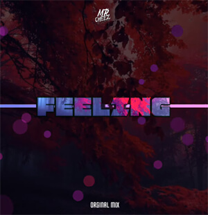 MR.CHEEZ - FEELING (ORIGINAL MIX)