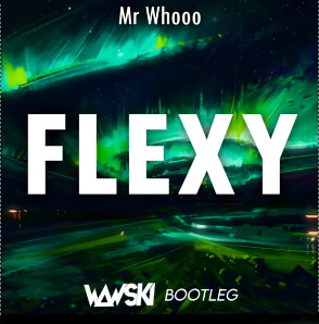 Mr Whooo - Flexy (Wawski Bootleg)