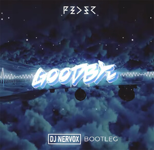 Feder feat. Lyse - Goodbye (DJ Nervox Bootleg)