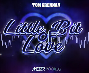 Tom Grennan - Little Bit of Love (MEZER BOOTLEG)