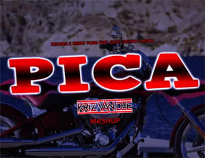 Deorro x Henry Fong feat. Elvis Crespo x Ariqu - Pica (KriZ Van Dee Mashup)