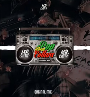 Mr.Cheez - PopThemCollars (Orginal Mix)