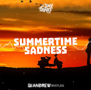 Lana Del Rey - Summertime Sadness (DJ Andrew Bootleg)