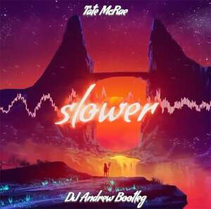 Tate McRae - slower (DJ Andrew Bootleg)