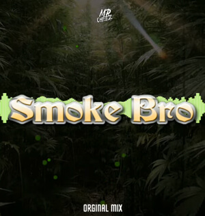 MR.CHEEZ - SMOKE BRO