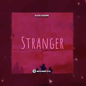 Olivia Addams - Stranger (DawidDJ x ReCharged Remix)