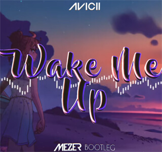 Avicii - Wake Me Up (MEZER BOOTLEG)