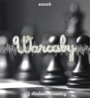 sanah - Warcaby (DJ Andrew Bootleg)