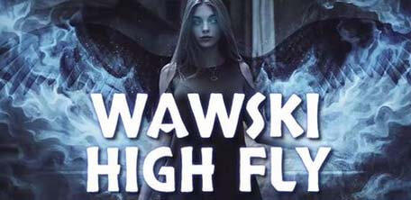 DJ Wawski - High Fly (Original Mix)