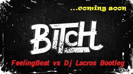 Hazel - Bitch (FeelingBeat vs Dj Lacros Bootleg)