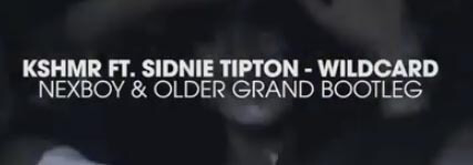 KSHMR ft. Sidnie Tipton - Wildcard (NEXBOY, Older Grand Bootleg)