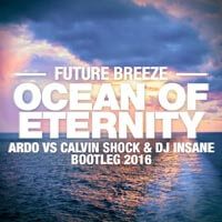 Future Brezee - Ocean of Eternity (Ardo vs. Calvin Shock vs. Dj Insane Bootleg)