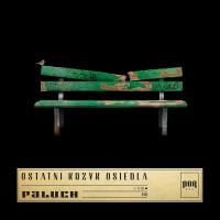 Paluch - Daj Mi Powód