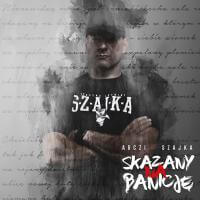 Arczi $zajka feat. Bonus RPK, TPS ZDR - Zyski (Prod. WoWo)