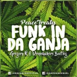 PeaceTreaty - Funk In Da Ganja (Gregory R & Dropshakers Bootleg)