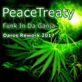 PeaceTreaty - Funk In Da Ganja (DAROS REWORK 2017)
