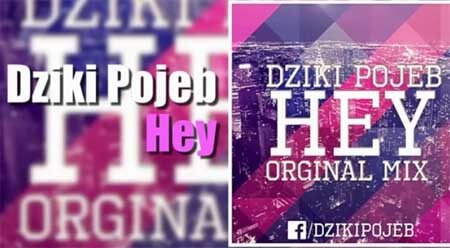Dziki Pojeb - HEY (Original Mix 2017)