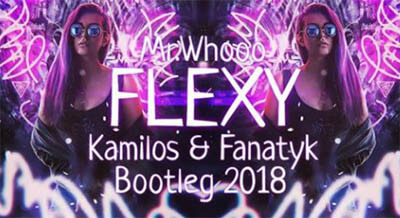 Mr.Whooo - Flexy (DJ Kamilos & FANATYK Bootleg 2018)