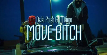 Dziki Pojeb & Dj Virgo NightBasse - MOVE BITCH (Original Mix)