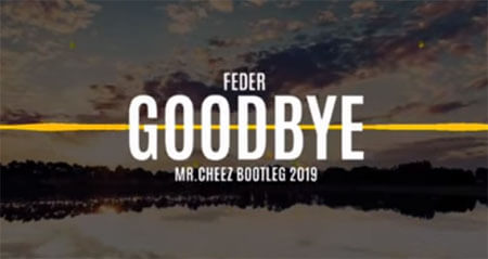 Feder - Goodbye (Mr.Cheez Bootleg)