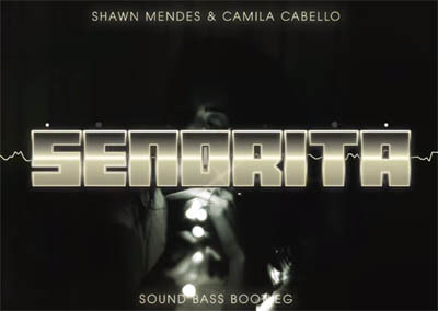 Shawn Mendes & Camila Cabello - Señorita (SOUND BASS Bootleg)