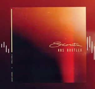 Shawn Mendes, Camila Cabello - Señorita (NRS Bootleg)