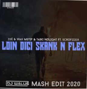 ZOË - Loin dici Wax Motif & Taiki Nulight - Skank n Flex ft. Scrufizzer (DJ WALUS MASH EDIT 2020)