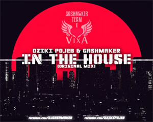 DZIKI POJEB & GASHMAKER - IN THE HOUSE (ORIGINAL MIX)